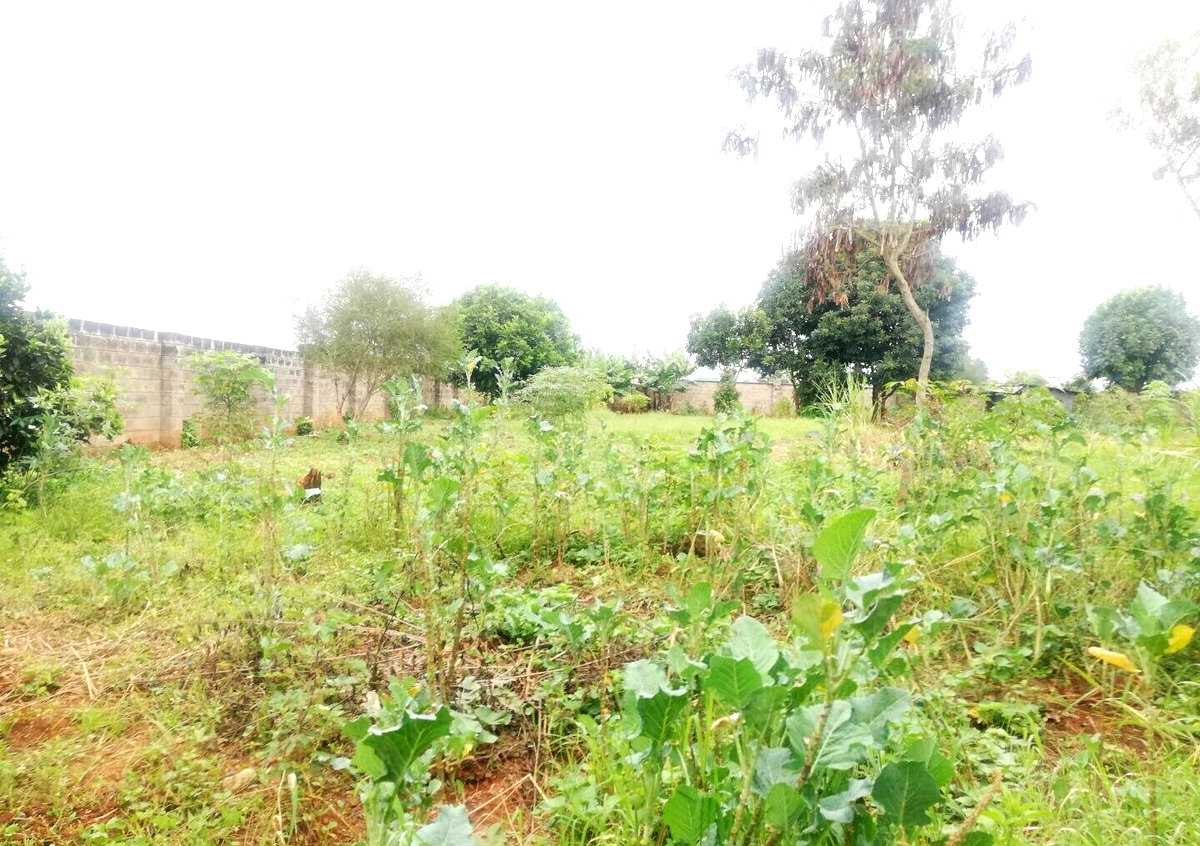 Half Acre Garden Plot in Runda