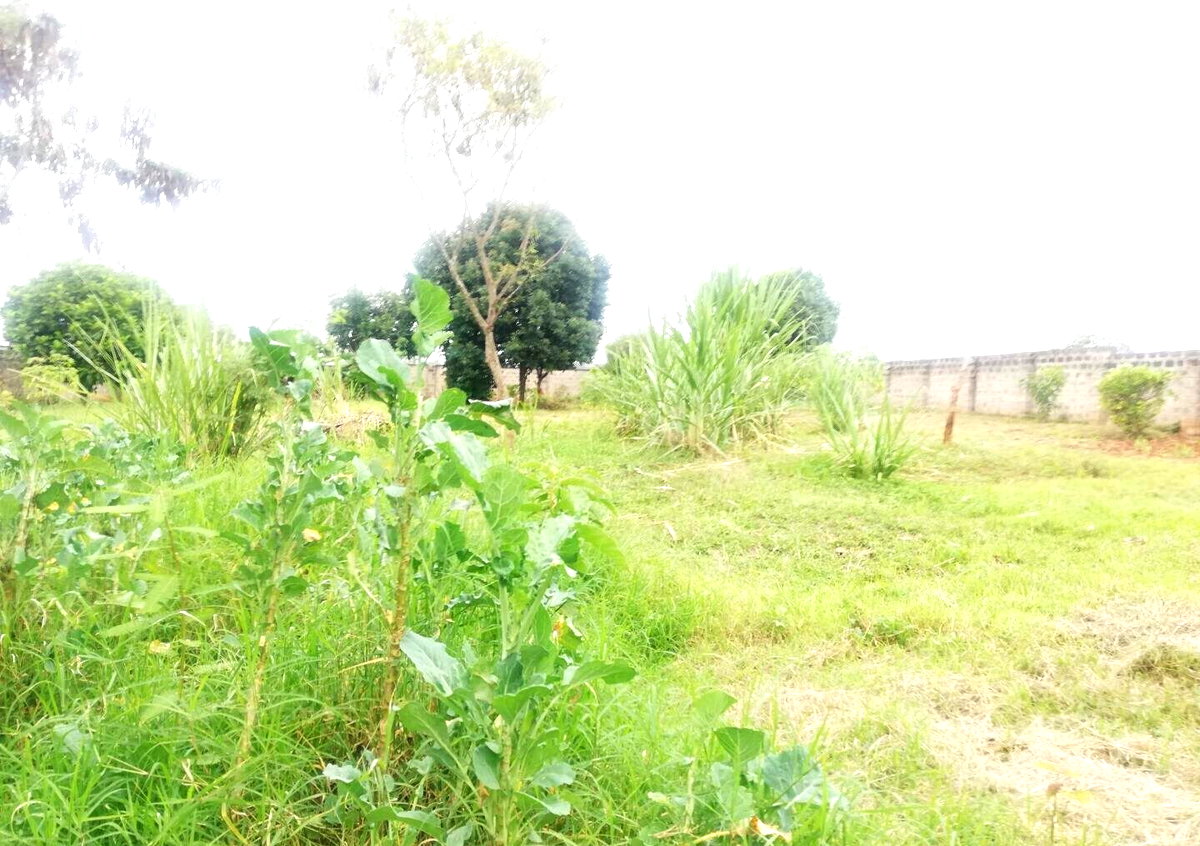 Half Acre Garden Plot in Runda