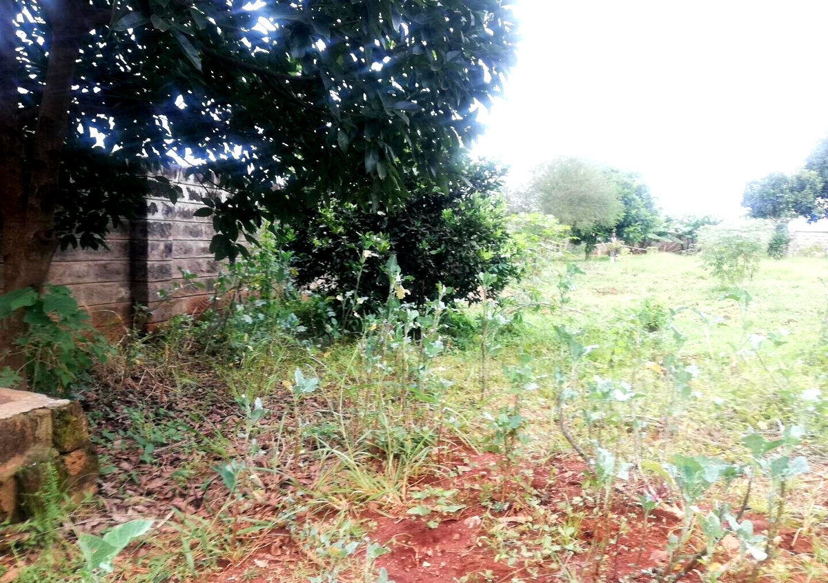 Half Acre Garden Plot in Runda
