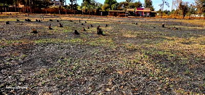 Plots for Sale in Eldoret Racecours Elgonview Border - Image 7