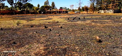 Plots for Sale in Eldoret Racecours Elgonview Border - Image 3