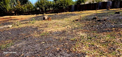 Plots for Sale in Eldoret Racecours Elgonview Border - Image 2