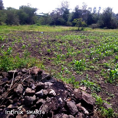 Land for Sale - Image 2