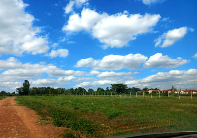 KSh 10M Serviced Plot in Thika