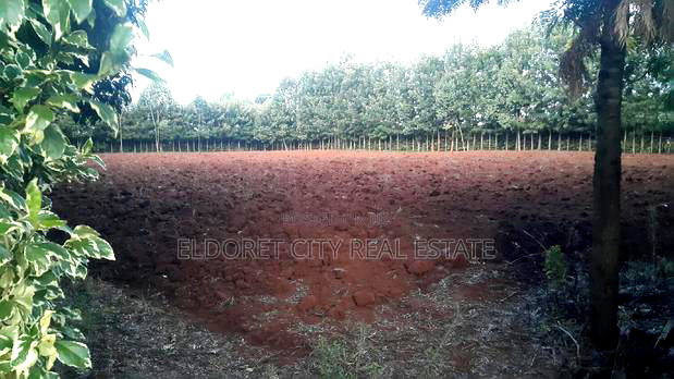 One Acre Elgonview Good for Residential