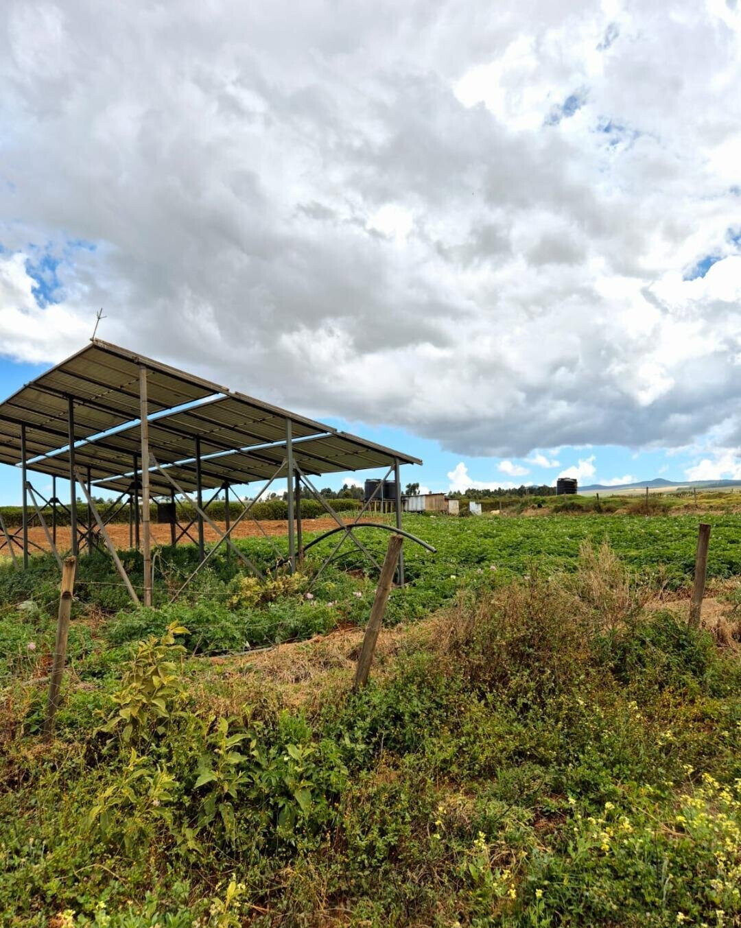 1.1-Acre Land with Borehole - Timau