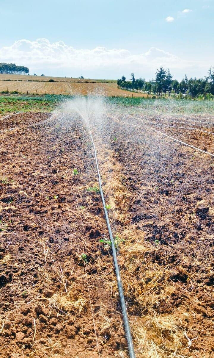 1.1-Acre Land with Borehole - Timau