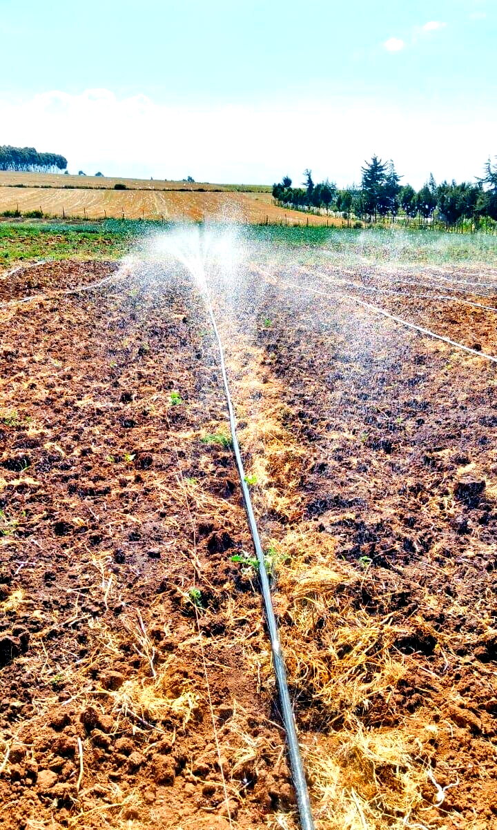 1.1-Acre Land with Borehole - Timau