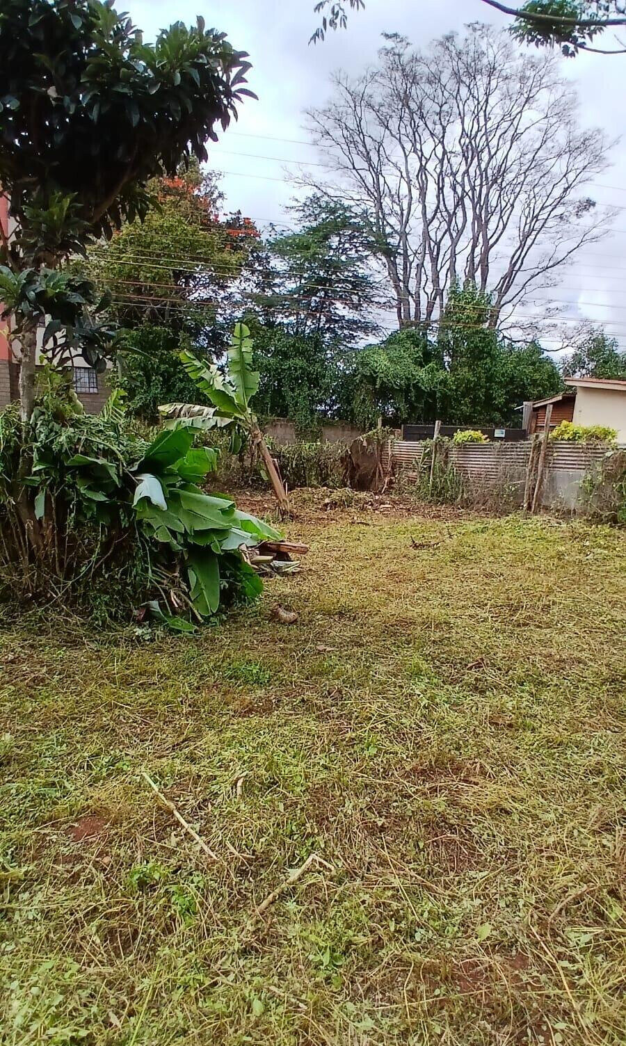 KSh 16M Main Road Plot in Muthiga