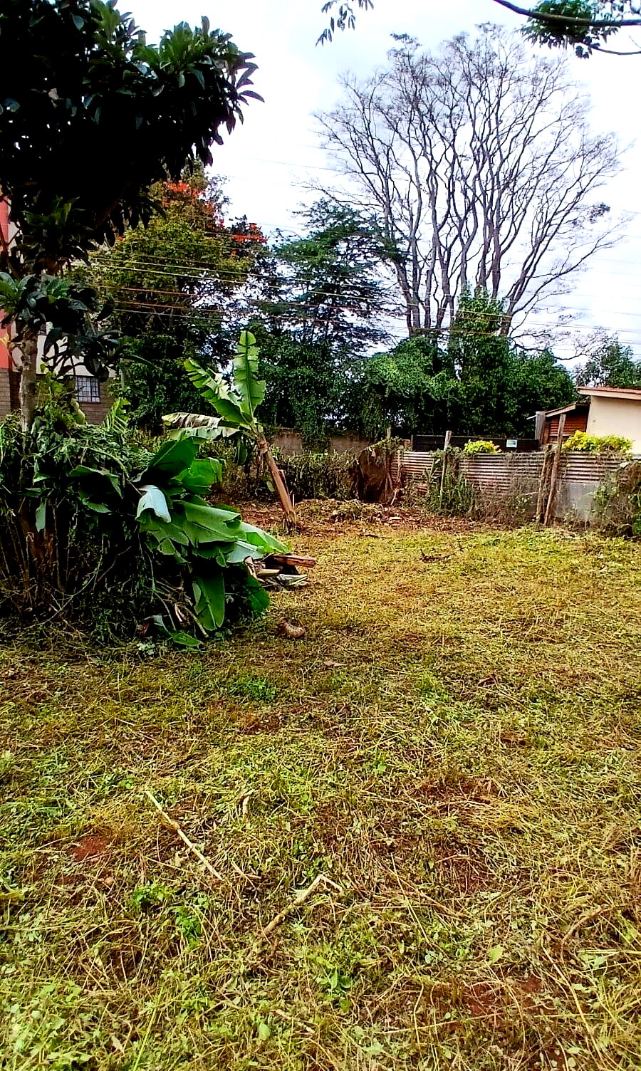 KSh 16M Main Road Plot in Muthiga