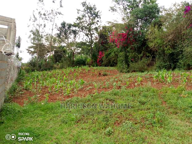 Ngong, Ololua,1/8 Acre Red Soil for Sale 2km From Ngong Town