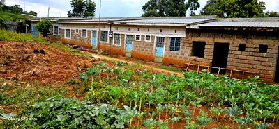 7bdrm Duplex in Kahoya, Huruma for sale - Image 2