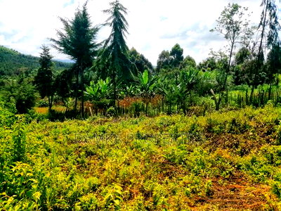 1.75 Acres for Sale at Githioro, Lanet - Image 4