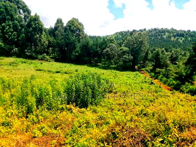 1.75 Acres for Sale at Githioro, Lanet - Image 3