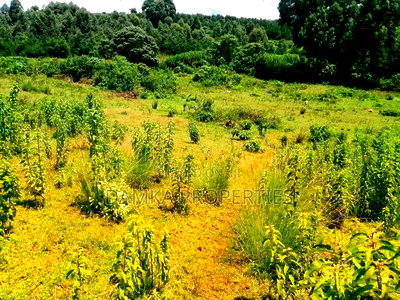 1.75 Acres for Sale at Githioro, Lanet - Image 2