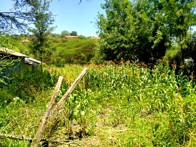 Quarter Acre in Ongata Rongai, Kandisi 600 MTRS From Tarmac - Image 3