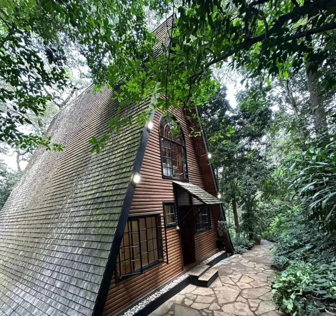 3BR Forest Home with Garden