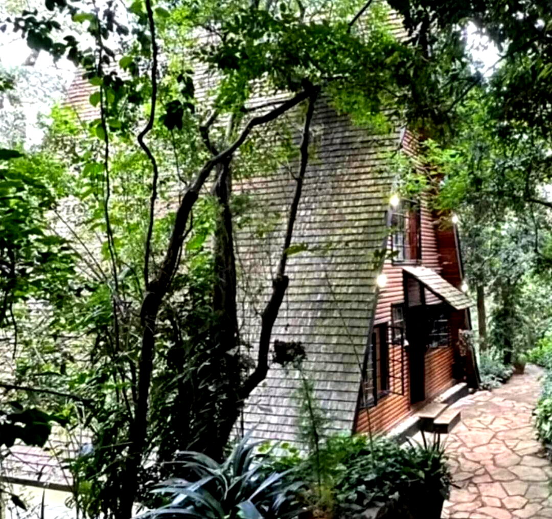 3BR Forest Home with Garden