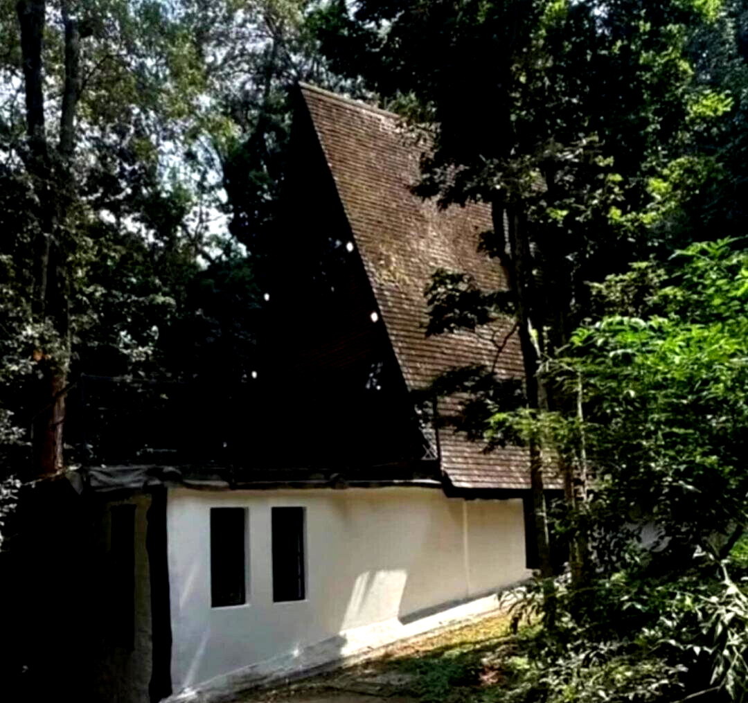 3BR Forest Home with Garden
