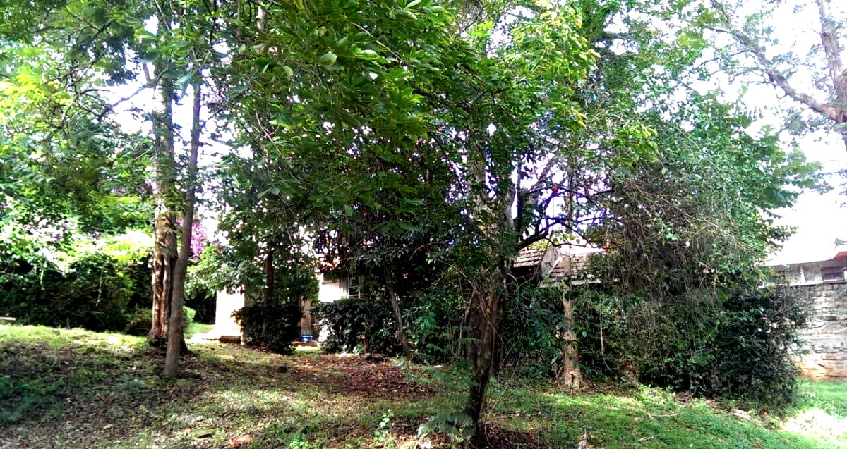 2-Acre Plot with Parking in Westlands