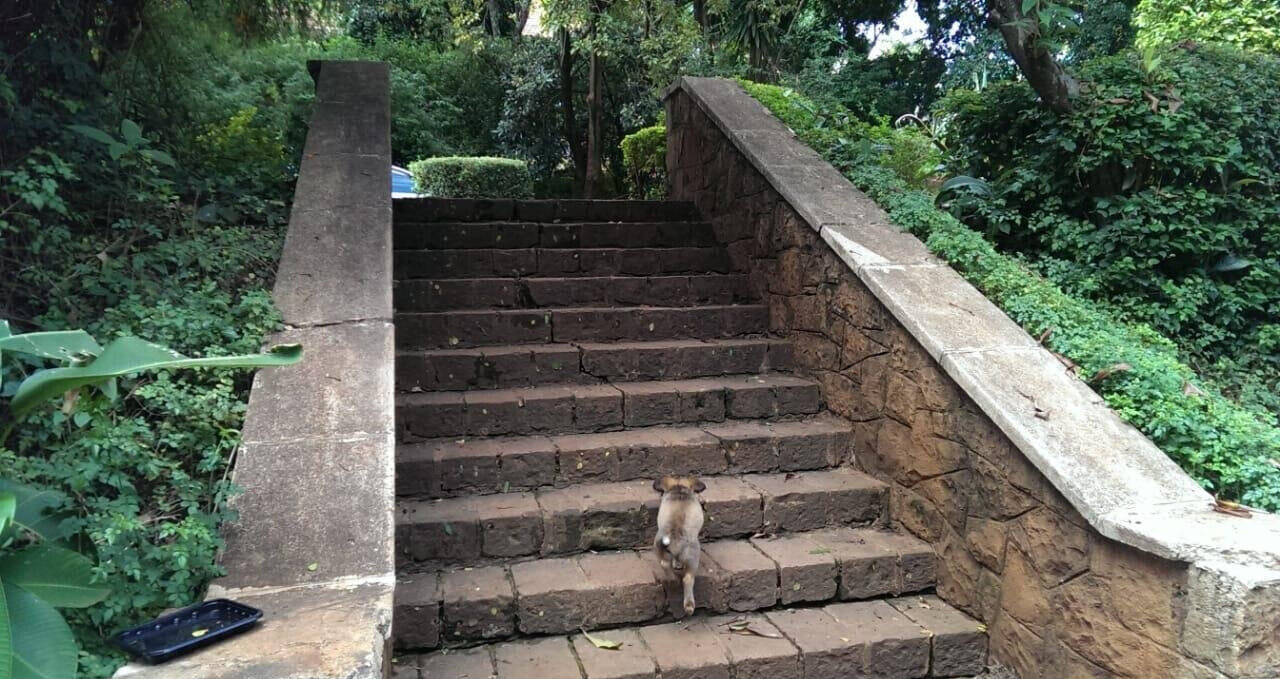 2-Acre Plot with Parking in Westlands