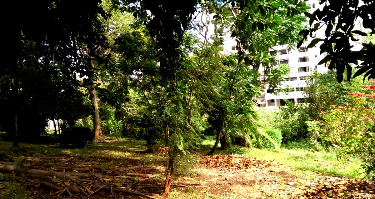 2-Acre Plot with Parking in Westlands