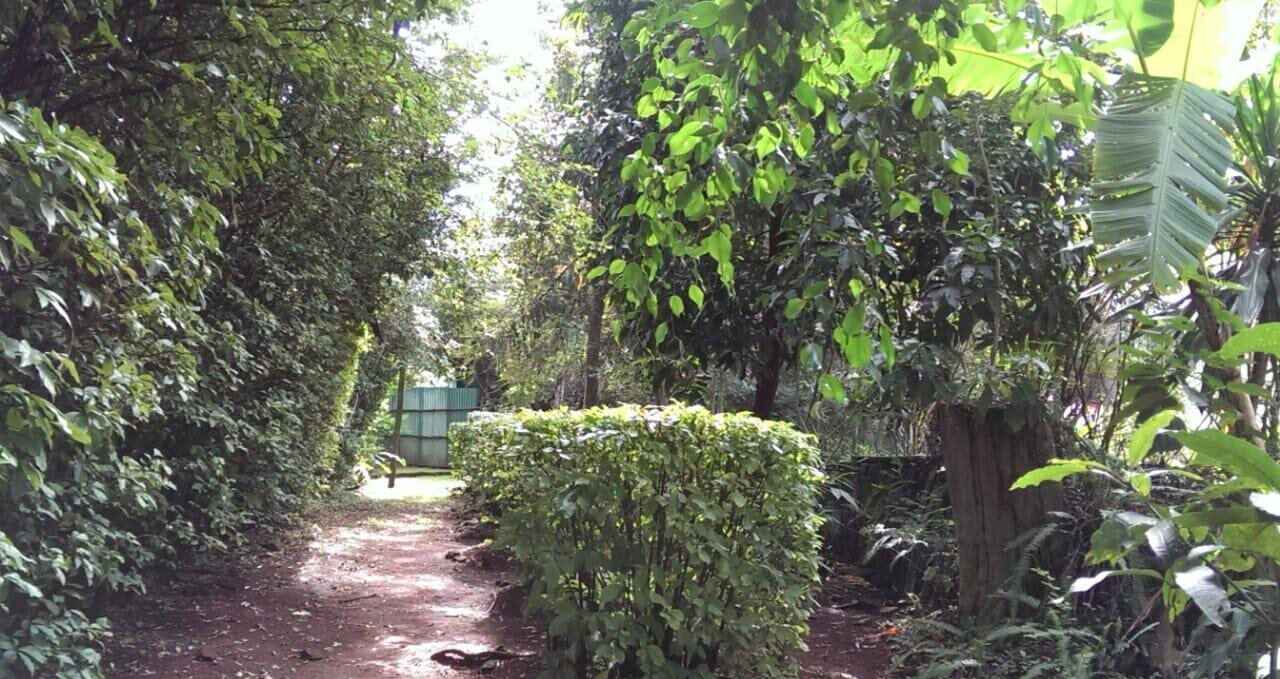 2-Acre Plot with Parking in Westlands