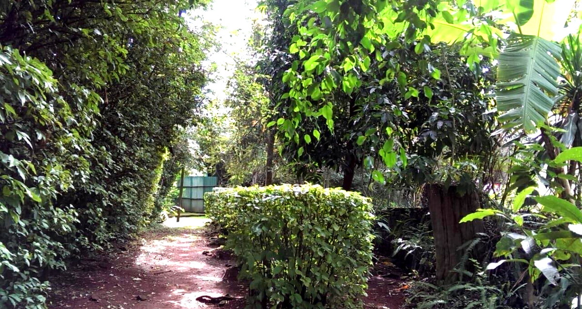 2-Acre Plot with Parking in Westlands