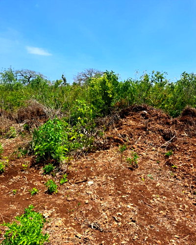 Galu Garden Plot for KSh 12.5M