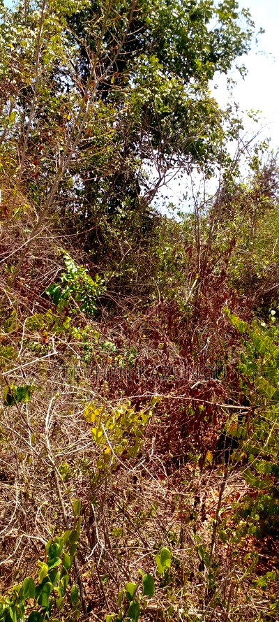 1 1/2 Plot on Sale on 2nd Beach Row, in Galu Beach. - Image 8