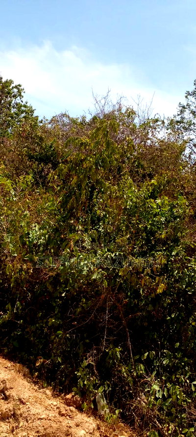 1 1/2 Plot on Sale on 2nd Beach Row, in Galu Beach. - Image 5