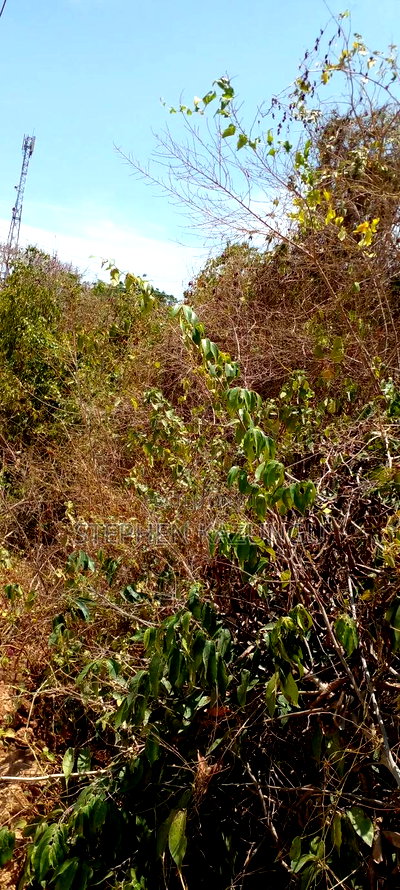 1 1/2 Plot on Sale on 2nd Beach Row, in Galu Beach. - Image 7