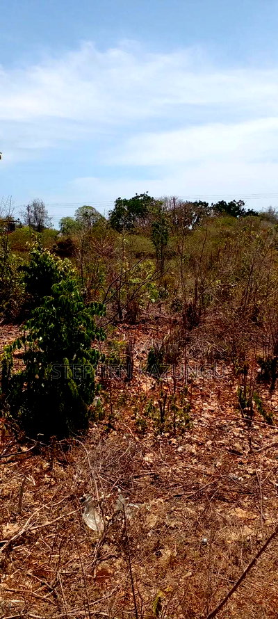 1 1/2 Plot on Sale on 2nd Beach Row, in Galu Beach. - Image 14