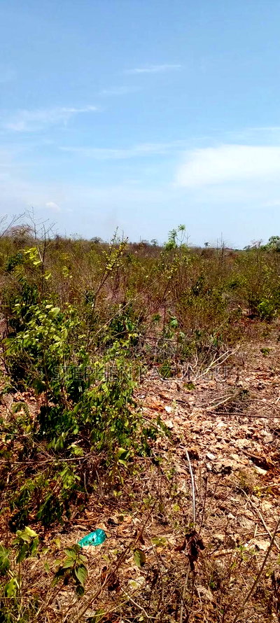 1 1/2 Plot on Sale on 2nd Beach Row, in Galu Beach. - Image 13