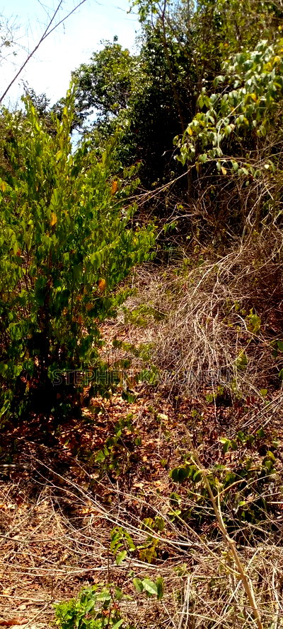 1 1/2 Plot on Sale on 2nd Beach Row, in Galu Beach. - Image 6