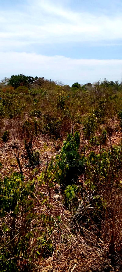 1 1/2 Plot on Sale on 2nd Beach Row, in Galu Beach. - Image 12