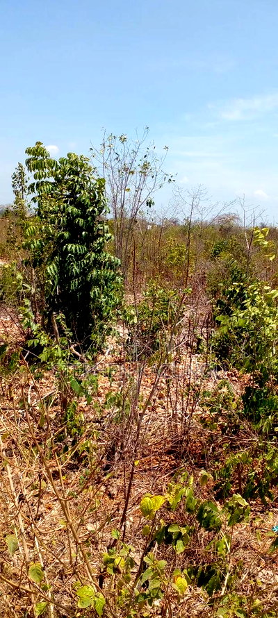 1 1/2 Plot on Sale on 2nd Beach Row, in Galu Beach. - Image 11