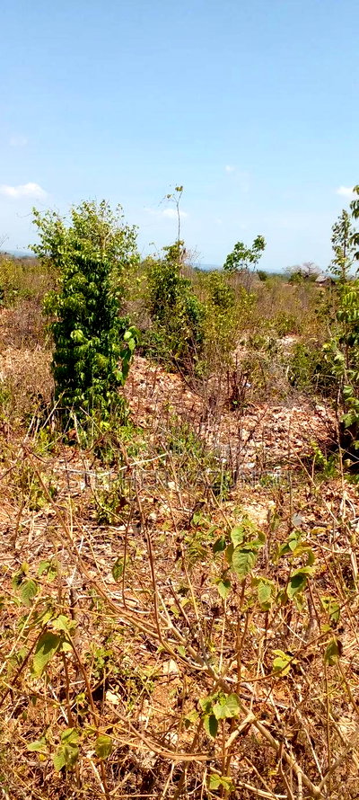 1 1/2 Plot on Sale on 2nd Beach Row, in Galu Beach. - Image 9