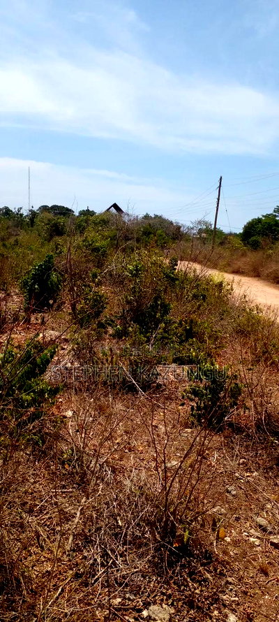 1 1/2 Plot on Sale on 2nd Beach Row, in Galu Beach. - Image 4
