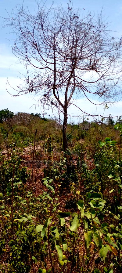 1 1/2 Plot on Sale on 2nd Beach Row, in Galu Beach. - Image 10