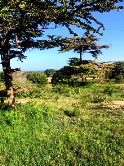 4 Acres Prime Land - Image 5