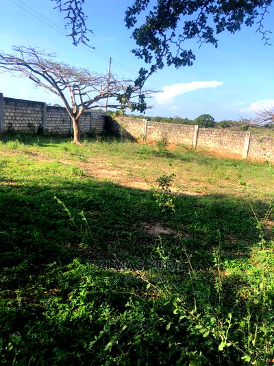 4 Acres Prime Land - Image 3