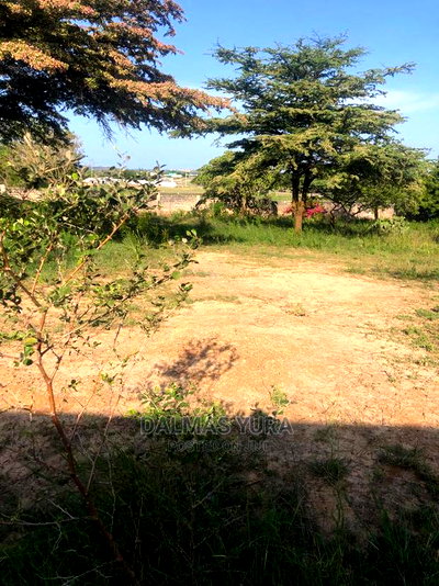 4 Acres Prime Land - Image 2