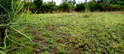 Joint Venture Land Quarter an Acre South B Balozi Airtel - Image 2