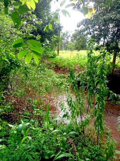 4 Acres for Sale at Sagana - Image 12