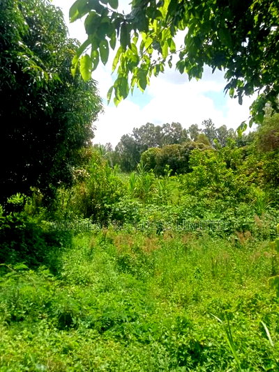 4 Acres for Sale at Sagana - Image 7