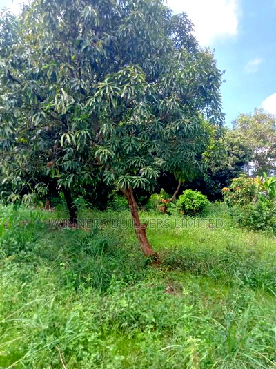 4 Acres for Sale at Sagana - Image 11