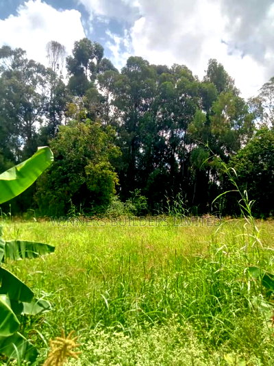 4 Acres for Sale at Sagana - Image 6