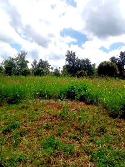 4 Acres for Sale at Sagana - Image 8