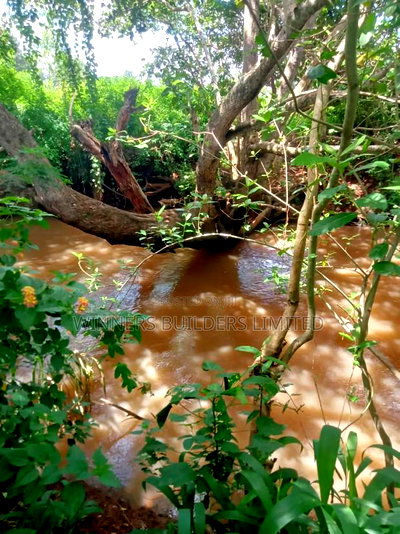 4 Acres for Sale at Sagana - Image 17